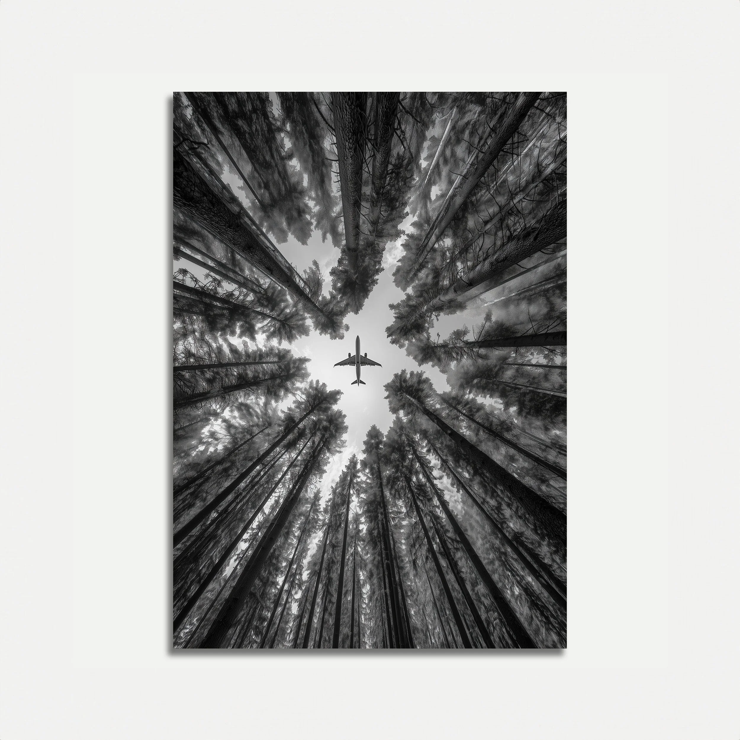 Airplane Over Forest Poster