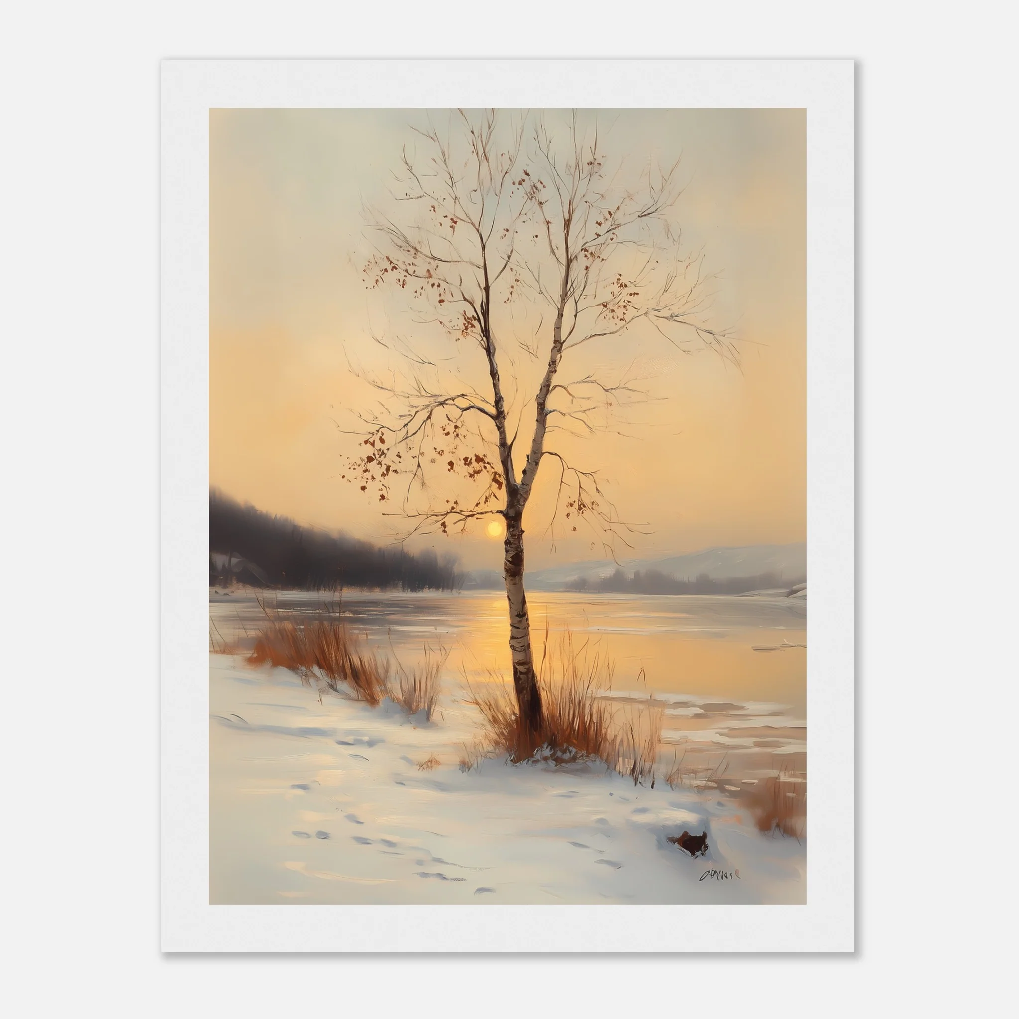 Birch in the Glow - Image 22