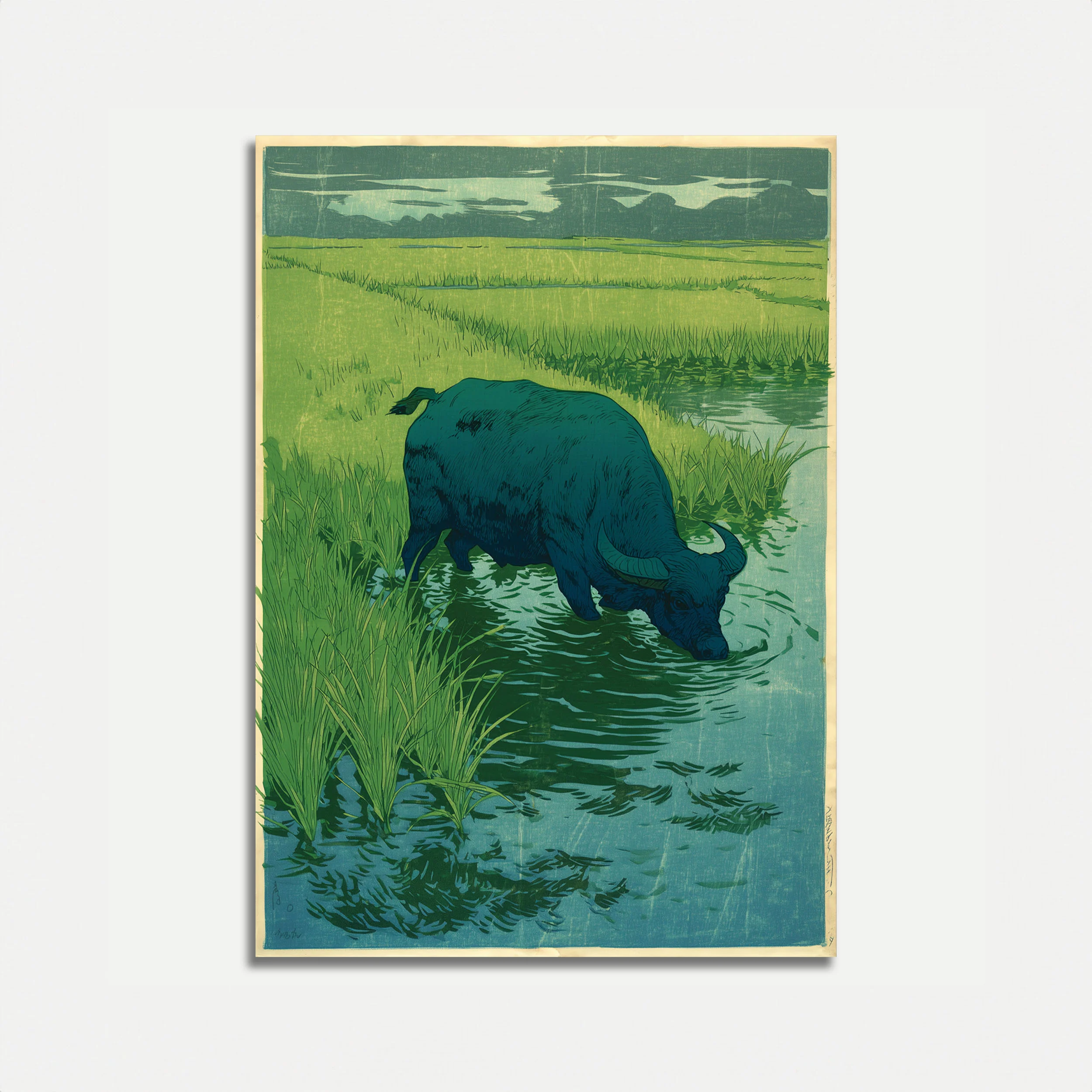 Buffalo Drinking at Stream Poster