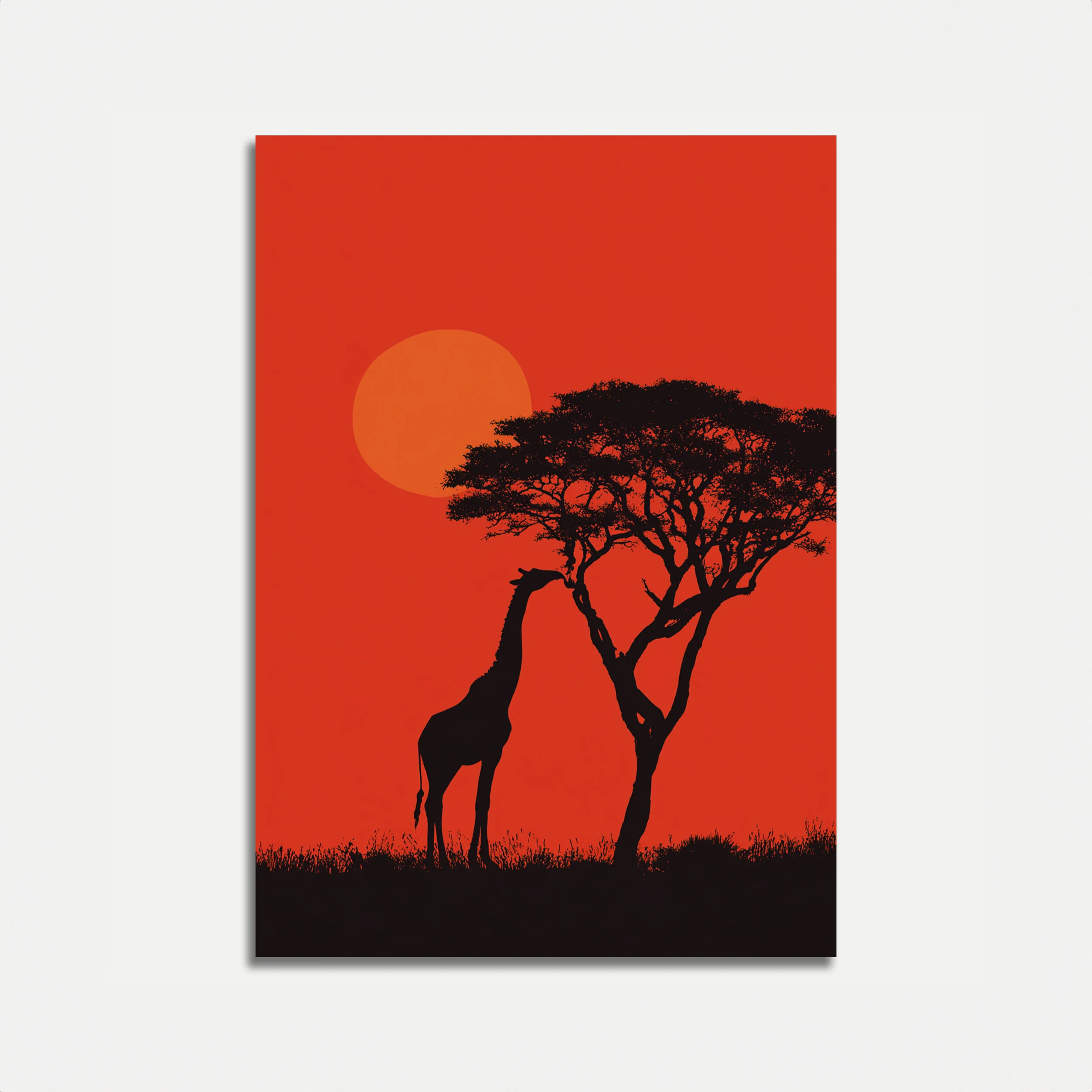 Giraffe Reaching Acacia Tree Poster