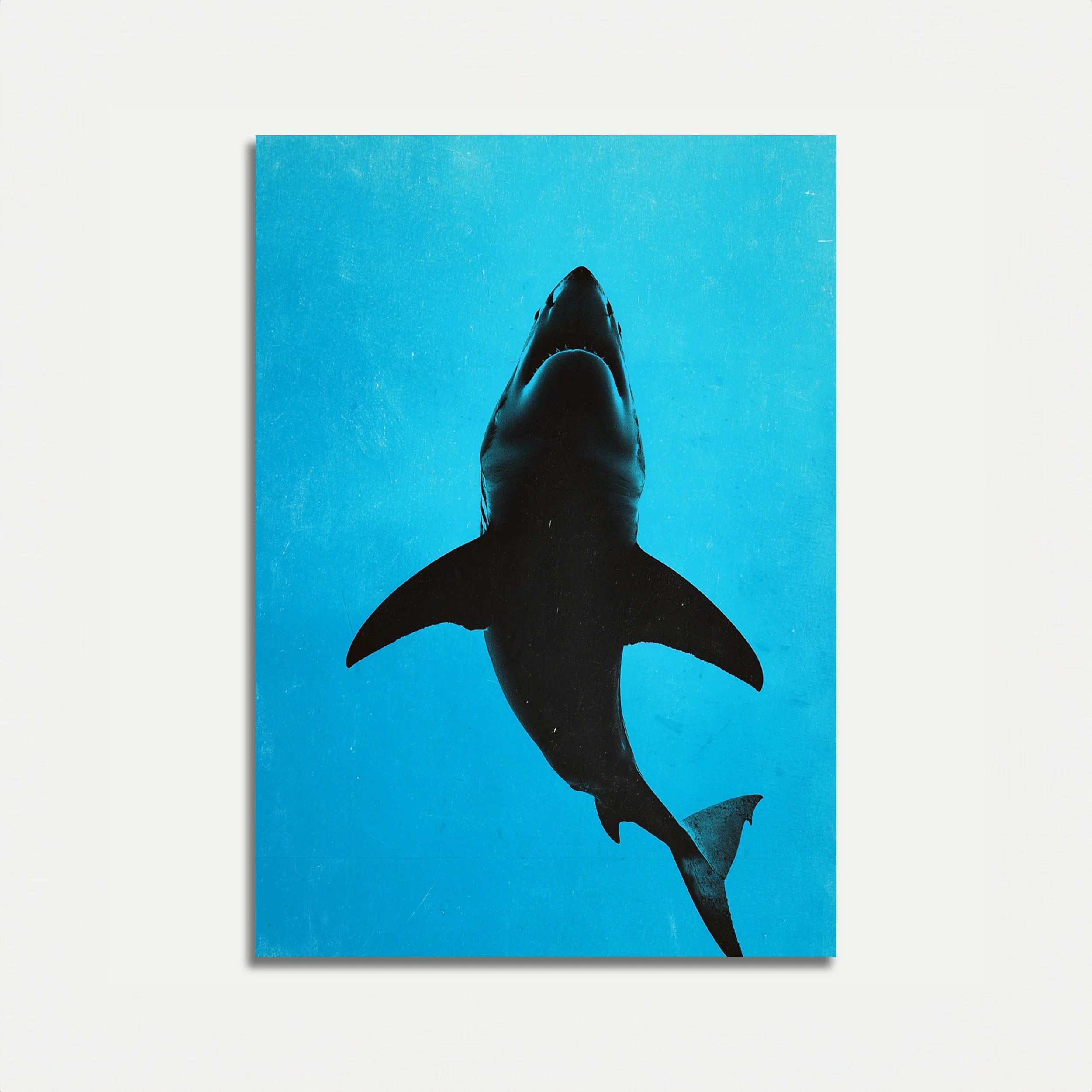 Great White Shark Silhouette Poster