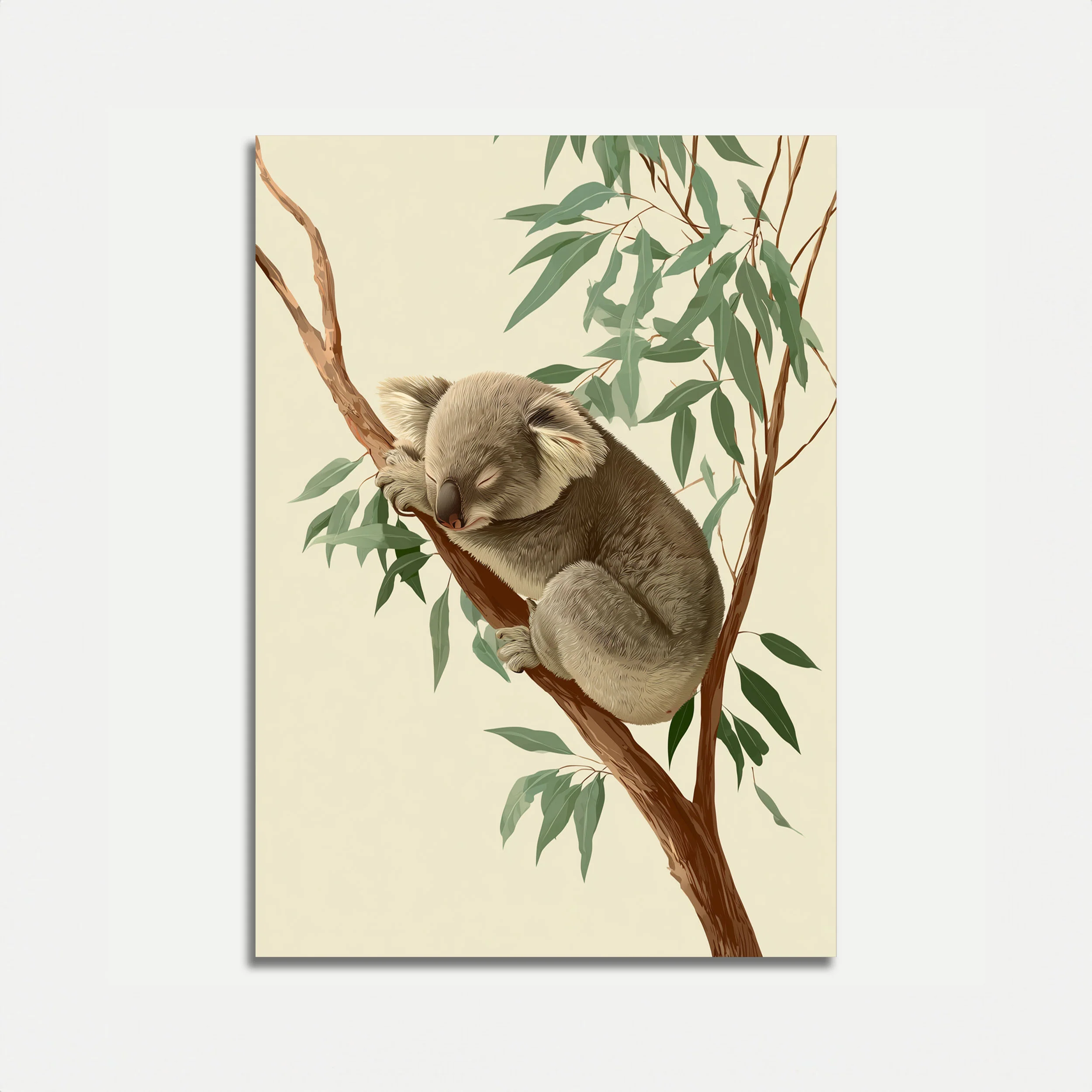 Sleepy Koala in Eucalyptus Tree Poster
