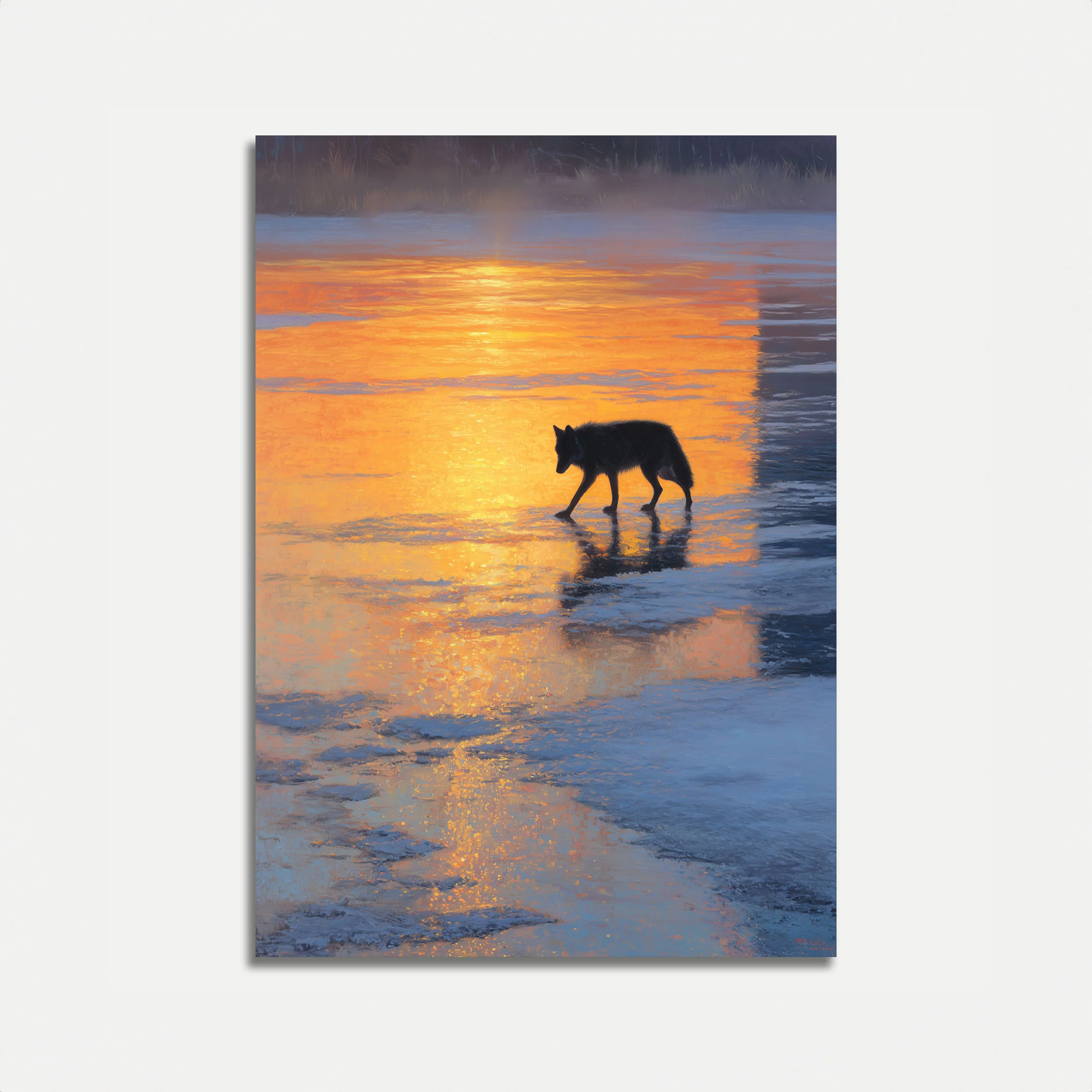 Wolf at Sunset Beach Poster